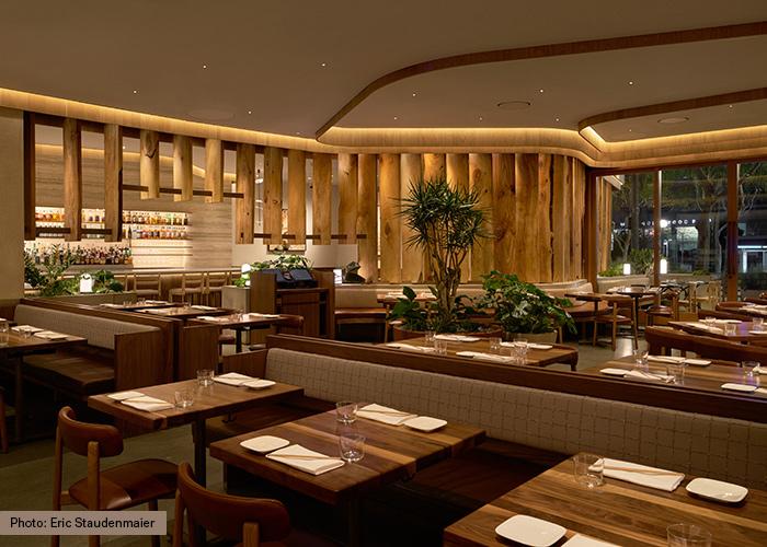 Award Winning Commercial Lighting